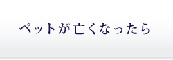 ペット葬儀メモリアル紀の川　ペットが亡くなったら